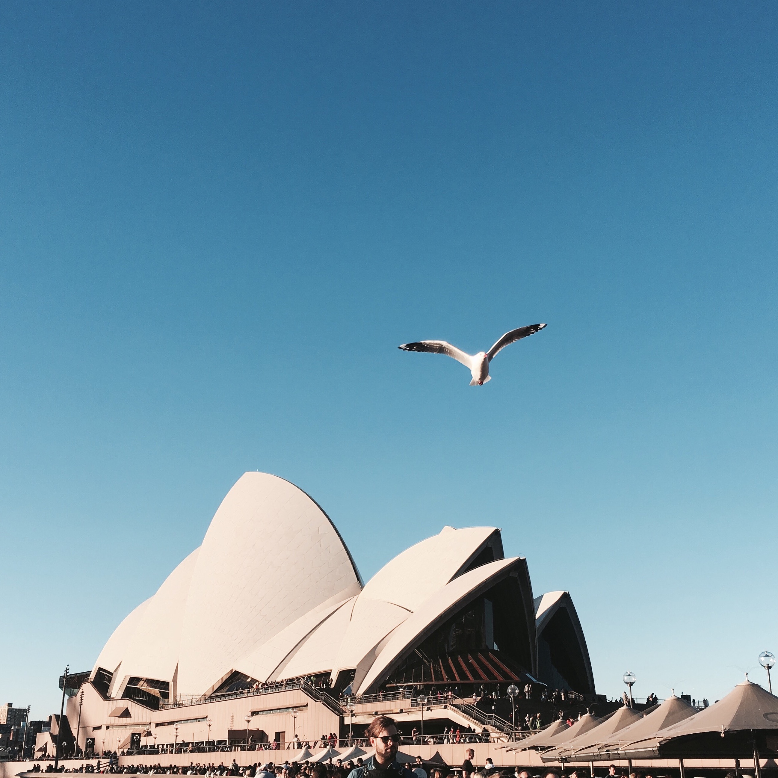 Twelve Days In Sydney, Spots and Expenses