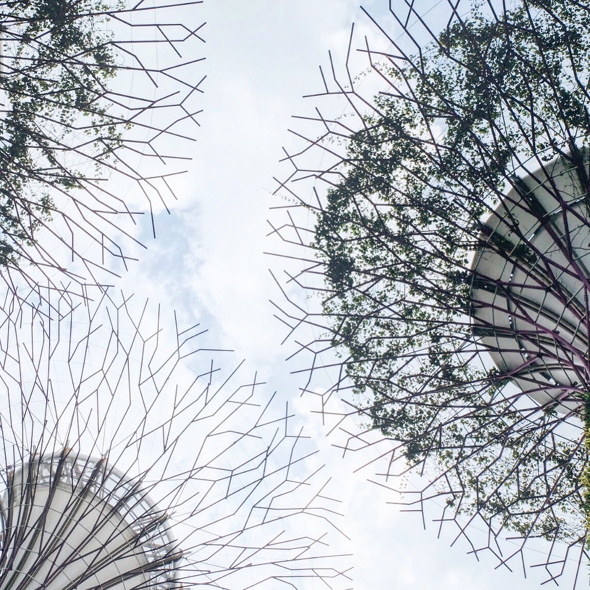 201801_KLSG - 343.jpg