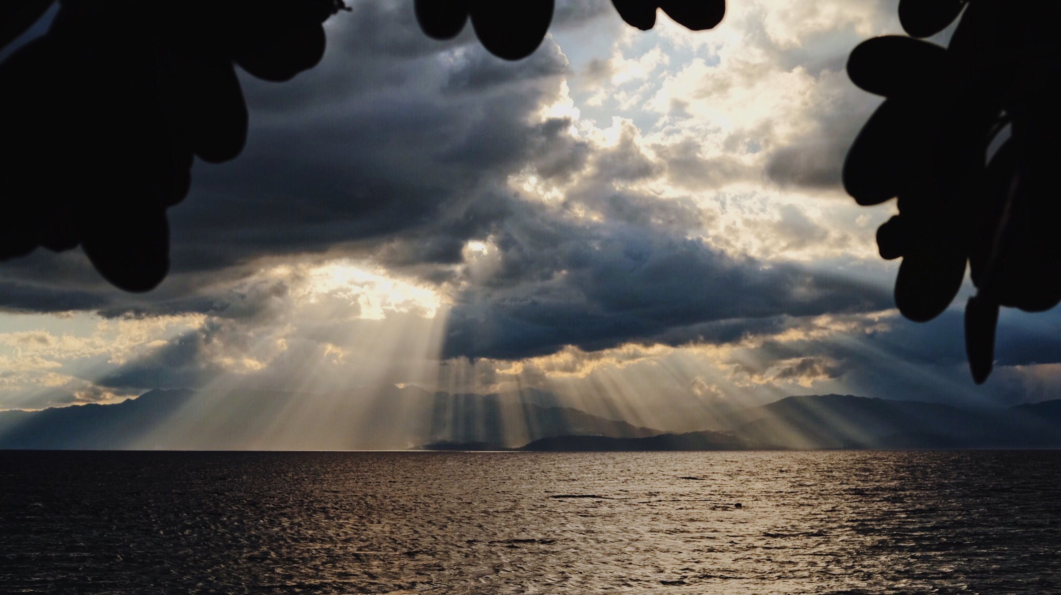 Processed with VSCO with m5 preset