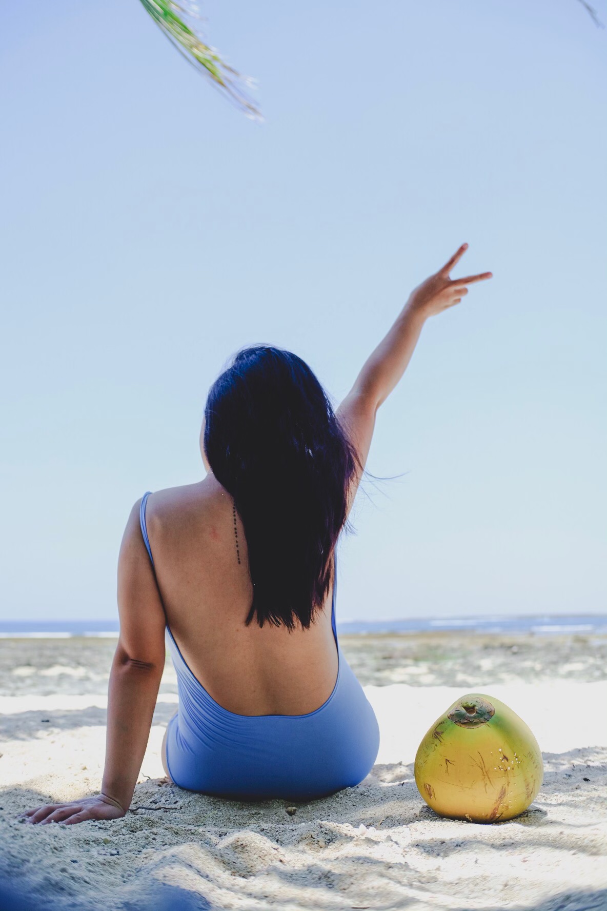 Deetoxify to Dee Explores