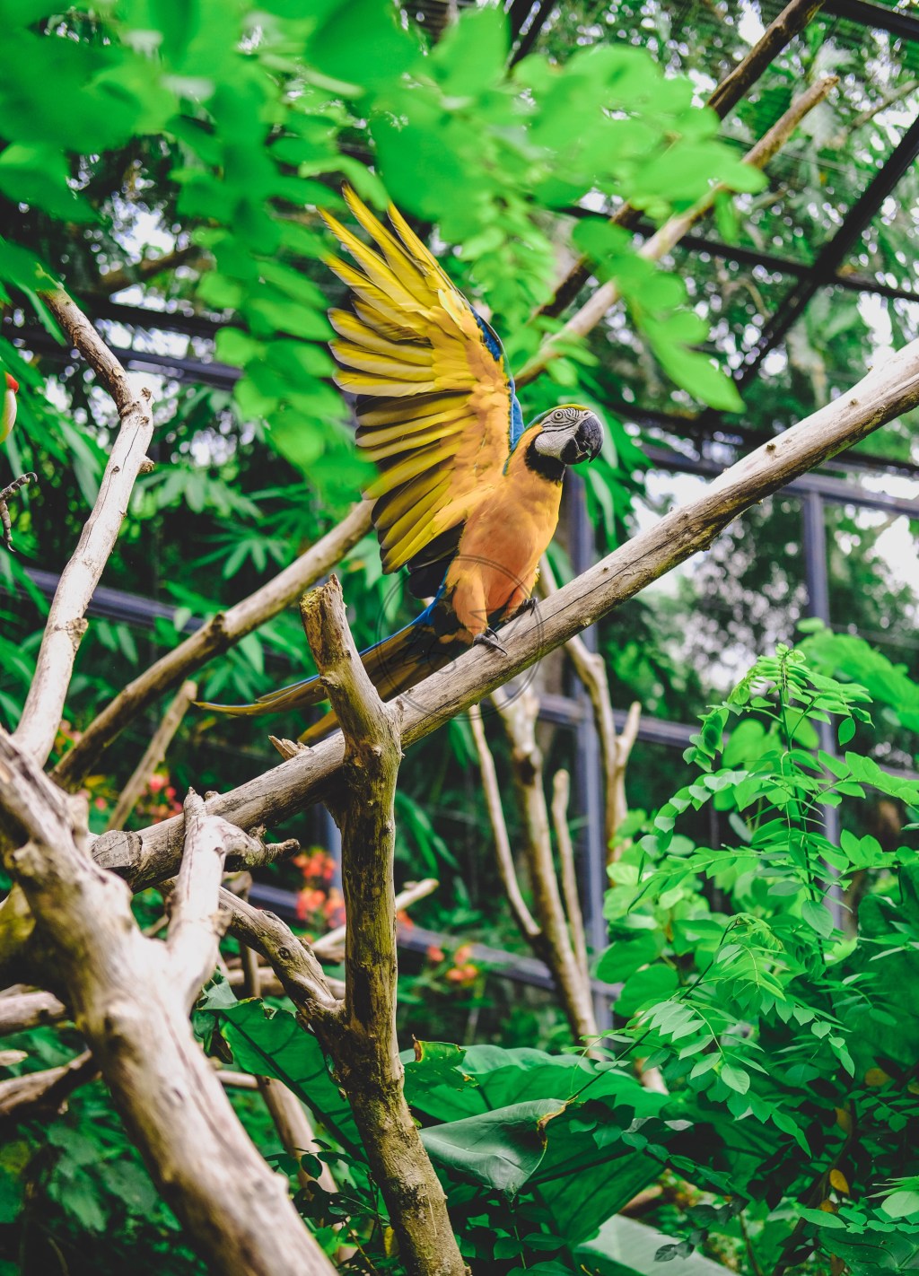 Cebu Safari: A Quick Trip North of&nbsp;Cebu