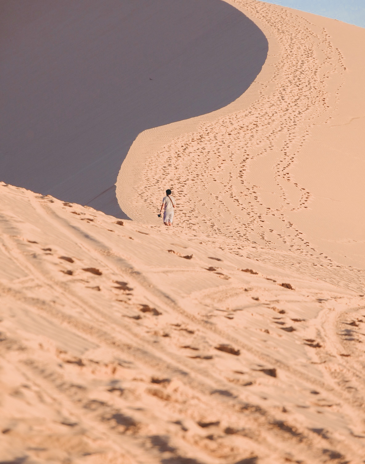 244C8F53-2C65-47C5-9AC0-5290FB33D194-9227-000019EF2887FA13