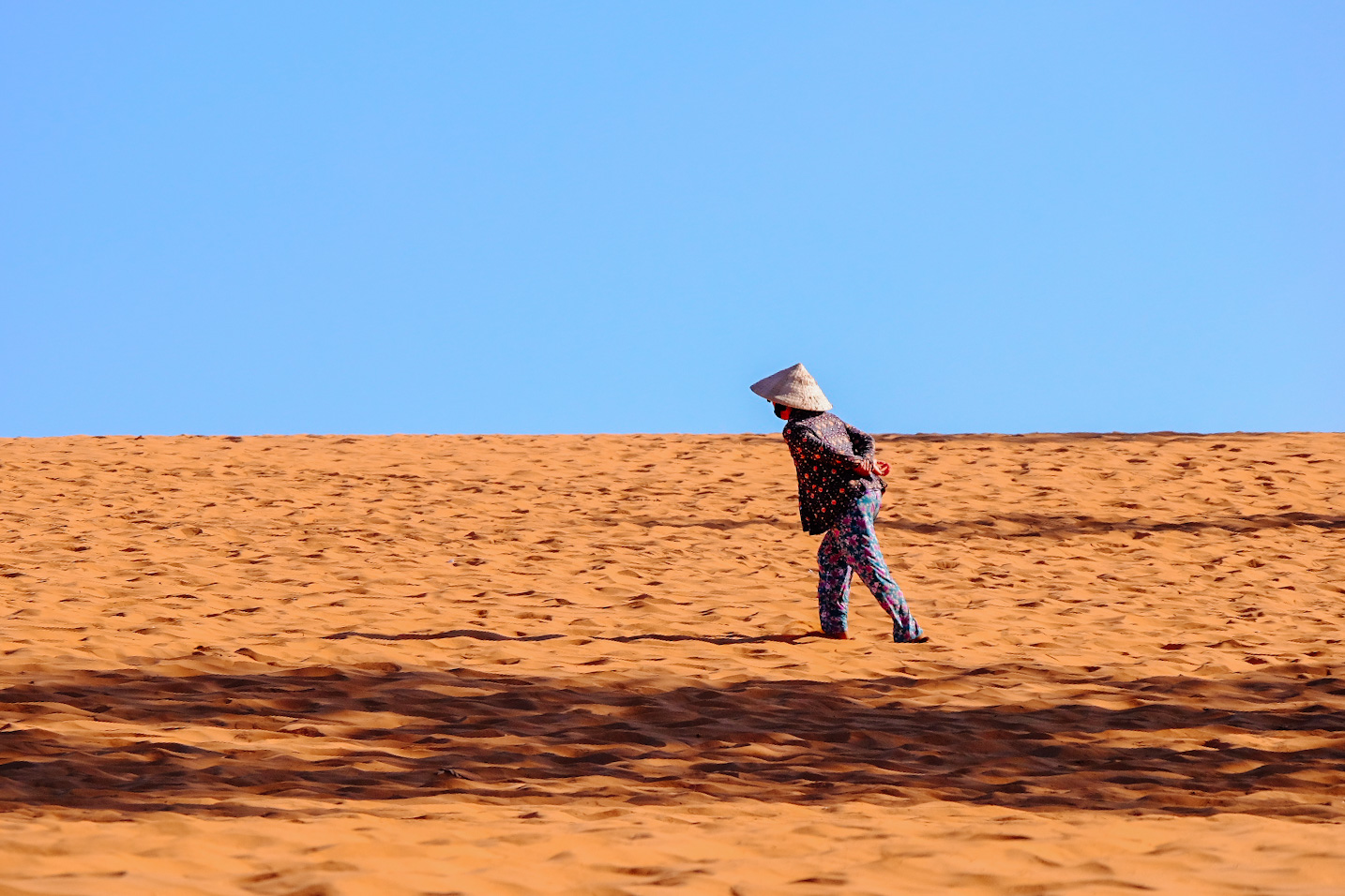 32A208B3-13F6-4A67-A508-F71C9801E177-9227-000019EF95321D44