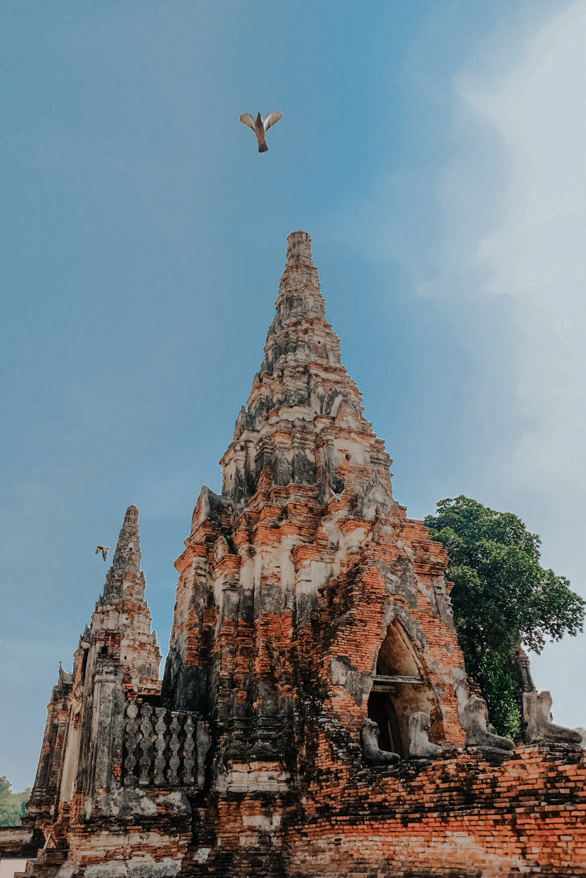 78C8799D-567C-49C3-9D99-ED88EAFF5623-4272-0000010C61C315FF