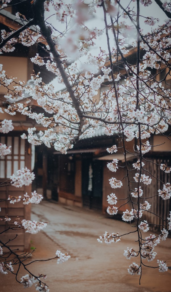 Toei Kyoto Studio Park Edo Period Town