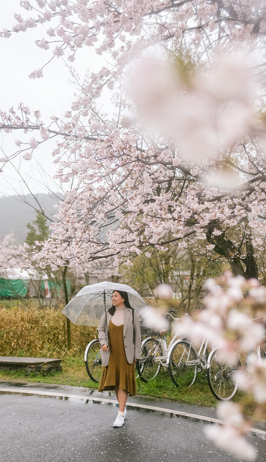 Updated Japan Entry Requirements for Filipinos